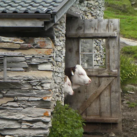 Chalet Rasnerhof *