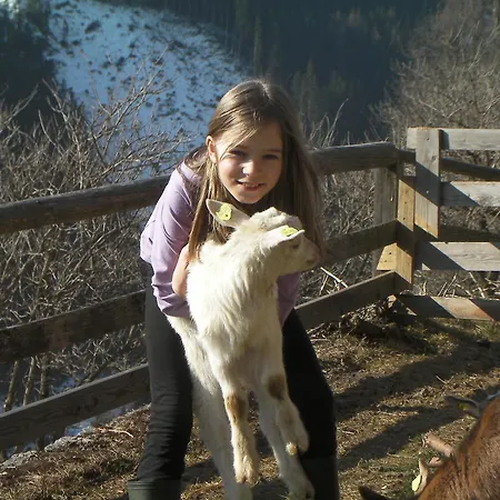 Alpehytte Chalet Rasnerhof Hopfgarten in Defereggen