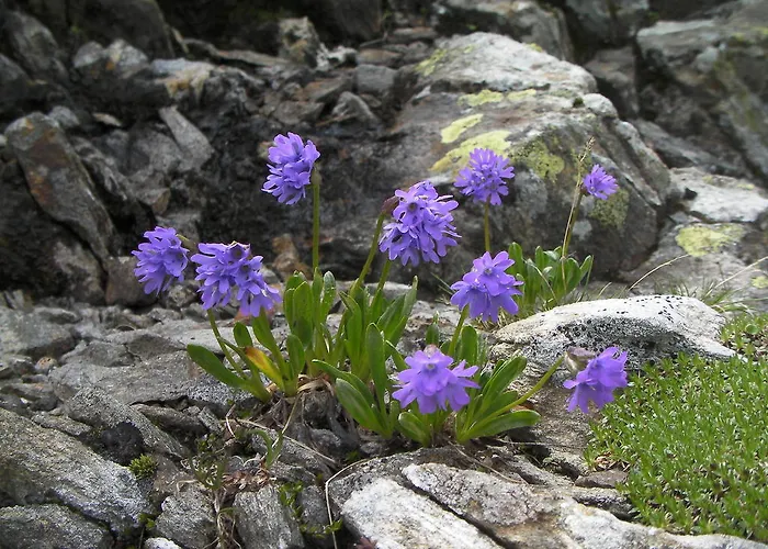 Chalet Rasnerhof 샬레 호프프갈튼인데프리겐