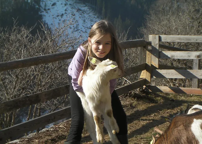 샬레 Chalet Rasnerhof 호프프갈튼인데프리겐